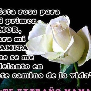 Meet your Posher, Jose